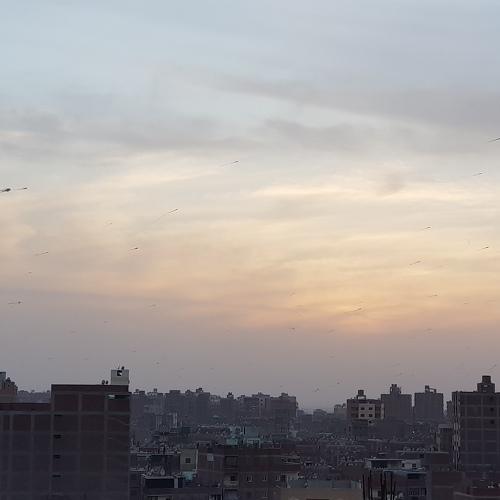 Photo #4670112