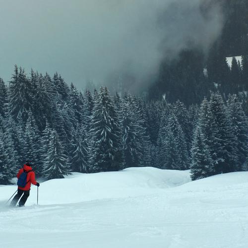 Photo #4670556