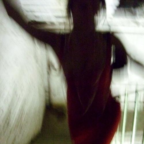 Photo #4670574
