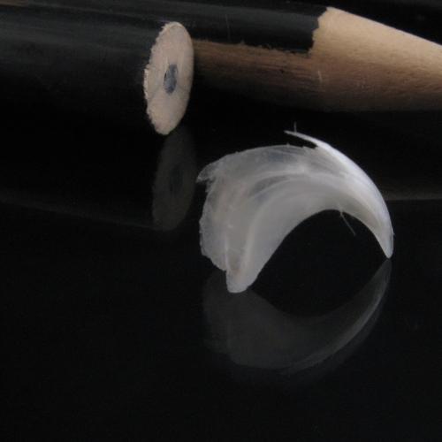 Photo #4670593