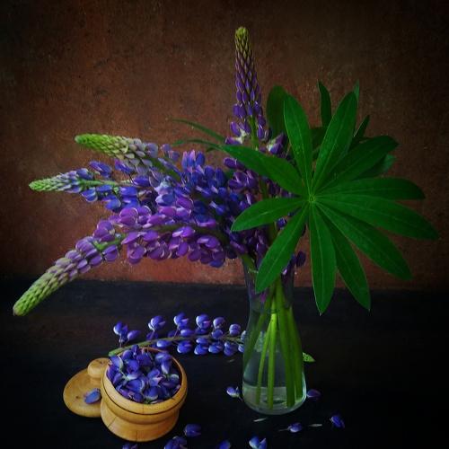 Photo #4670761