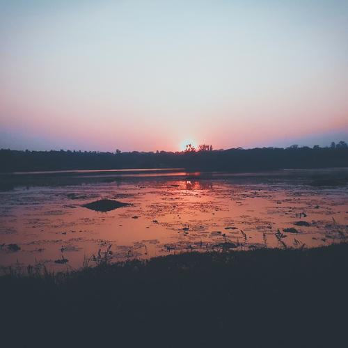 Photo #4670883