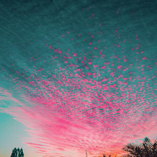 Photo #4670897