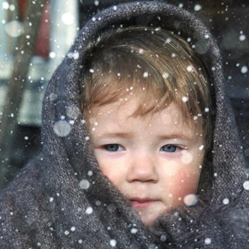 Photo #4671220