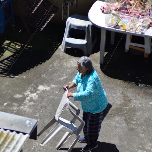 Photo #4671730