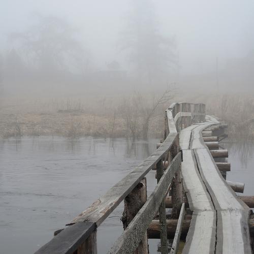 Photo #4672125