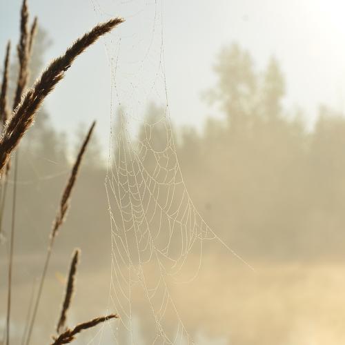 Photo #4672133