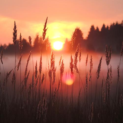 Photo #4672156