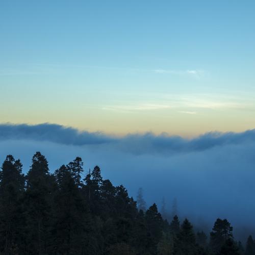 Photo #4672165