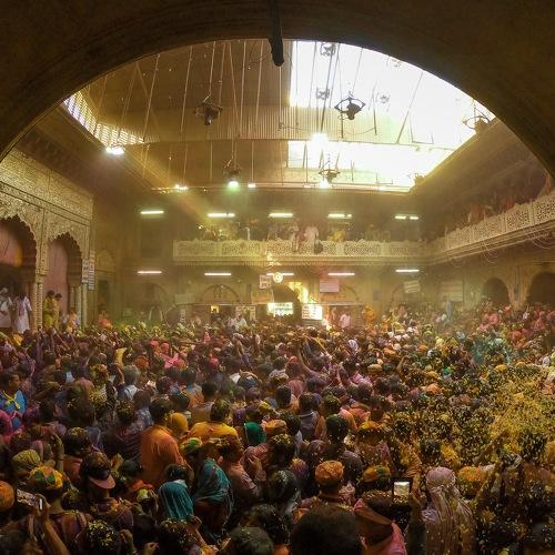 Photo #4672311