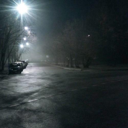 Photo #4672398