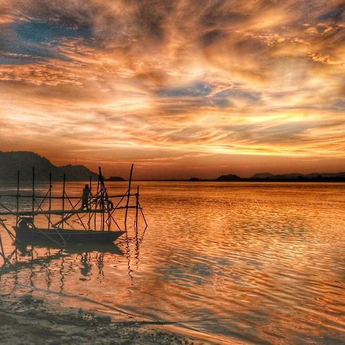 Photo #4672570