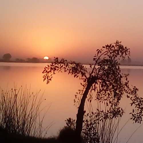 Photo #4672730