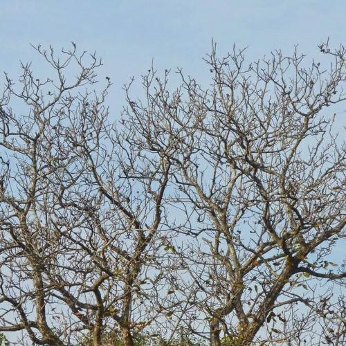 Photo #4672733