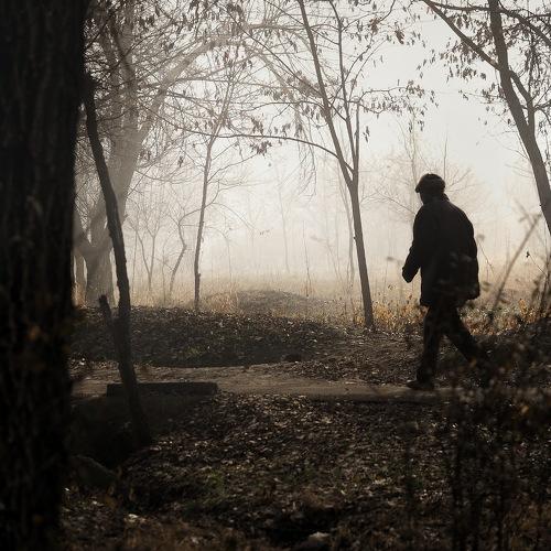 Photo #4672871
