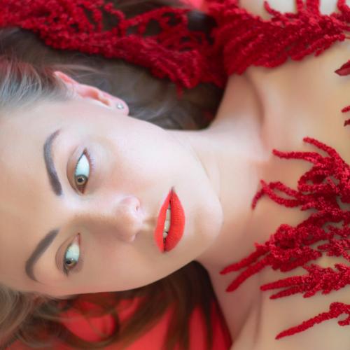 Photo #4673097