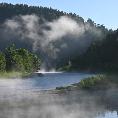 Photo #4673139