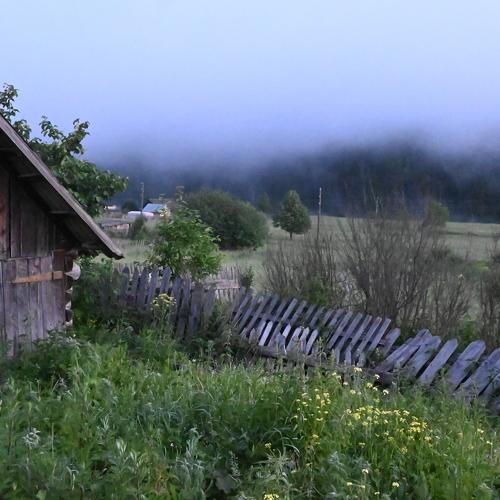 Photo #4673141