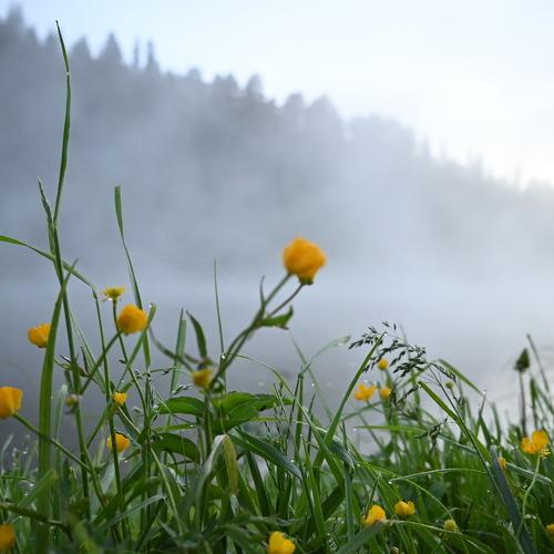 Photo #4673146