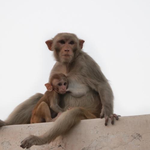 Photo #4673207