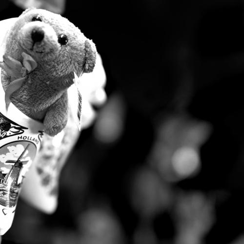 Photo #4673593
