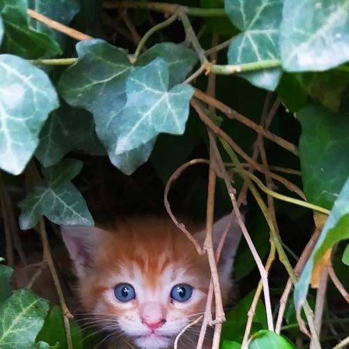 Photo #4673731