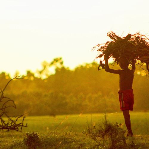 Family Child Labour