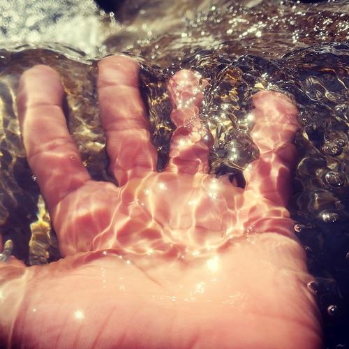 Photo #4674079