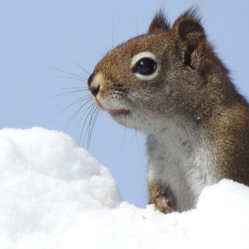 Photo #4674136