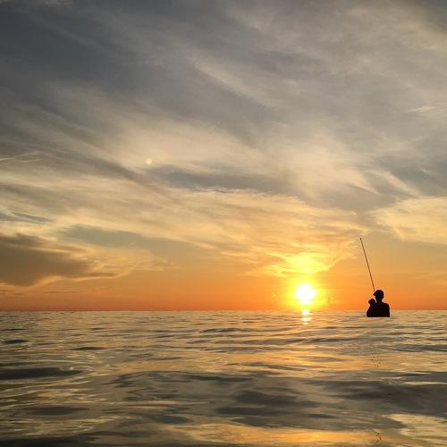 Photo #4675022