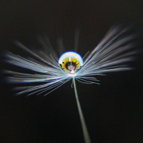 Photo #4675177