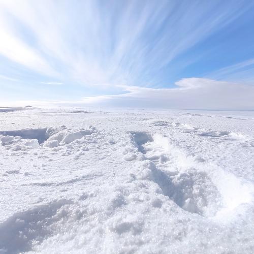 Photo #4675491