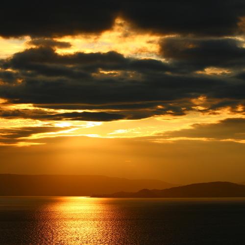 Photo #4675550