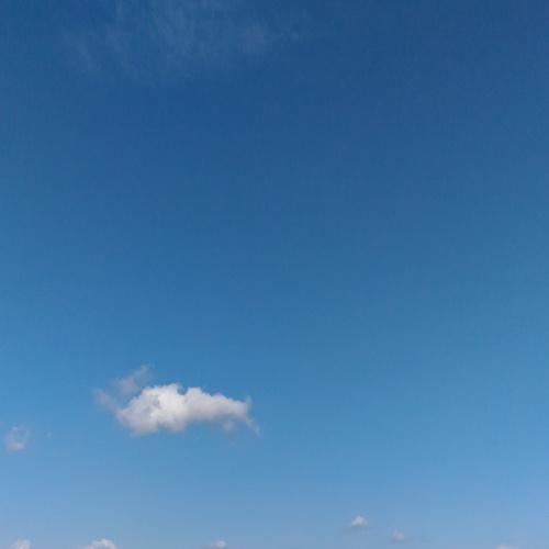Photo #4675714