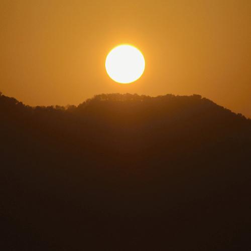 Photo #4675920