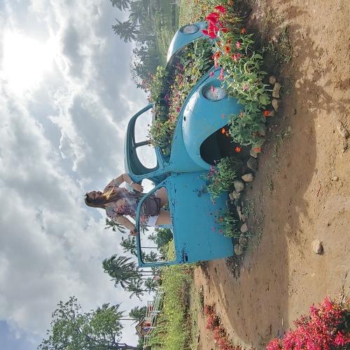 Photo #4676033