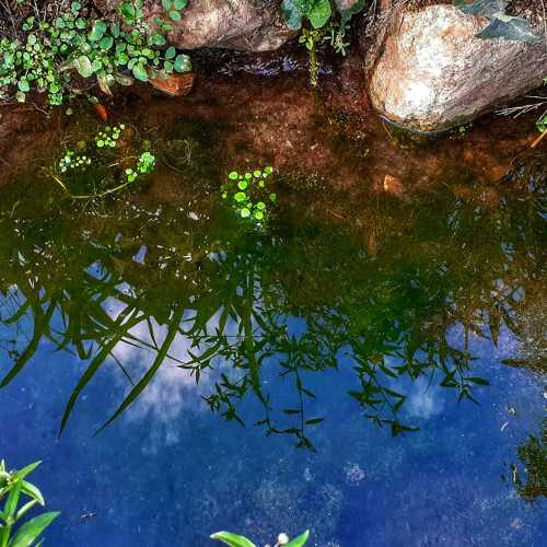 Photo #4676962