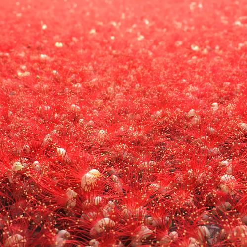 Photo #4677029