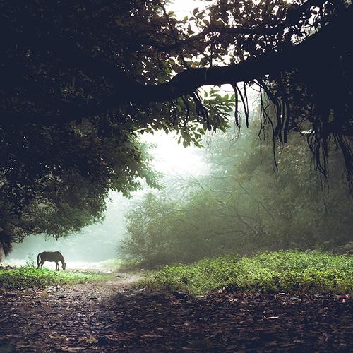 Photo #4677125