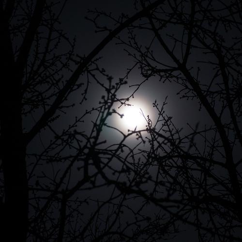 Photo #4677250