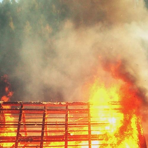 Photo #4677869