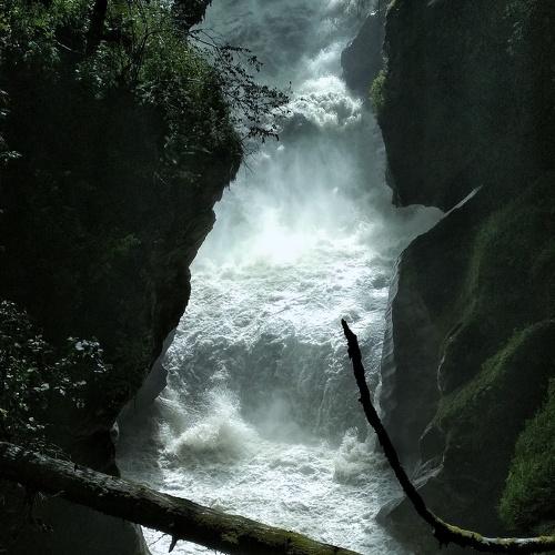 Photo #4678682