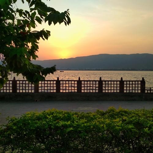 Photo #4678683