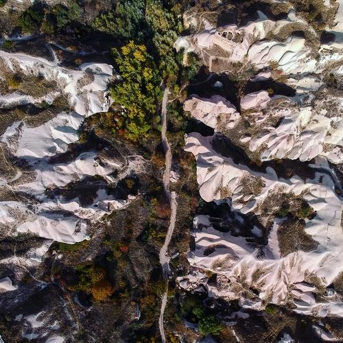 Photo #4678714