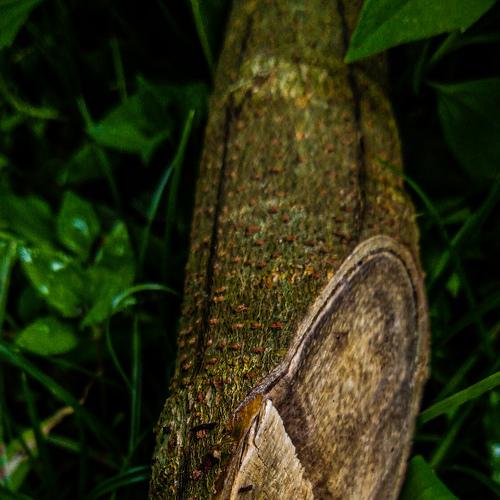Photo #4679463