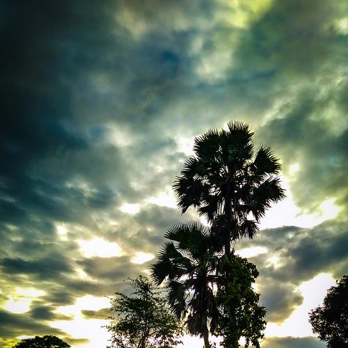 Photo #4679464