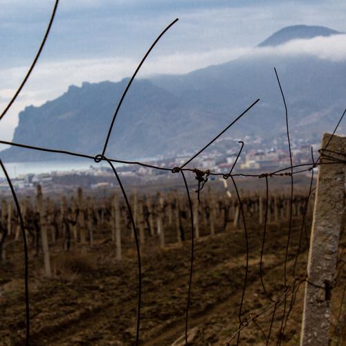 Photo #4679652