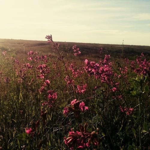 Photo #4679764