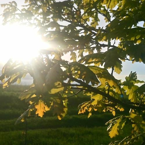 Photo #4679781