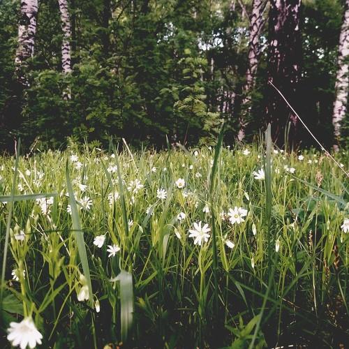 Photo #4679782